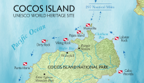 Map-COCOS
