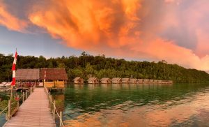 IMG_1249 (2)
