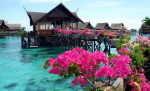 LX3C46669FCF01F8CBA04128466D1ECFB5