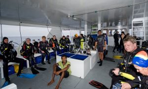 LX57170801D689812441201EF82F6E8081