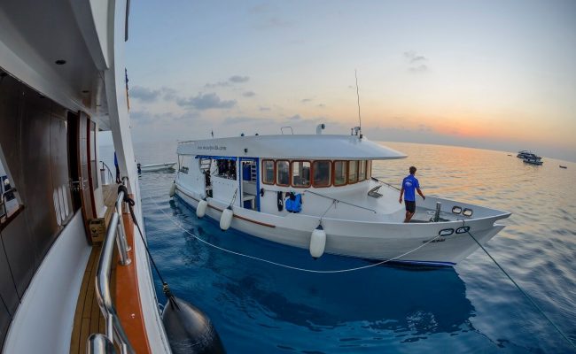 LXC49AA75A64314042FBC4E224BD995E20